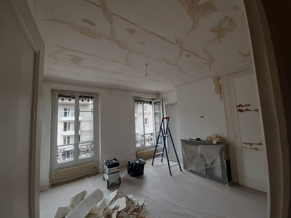 Pro J Peinture