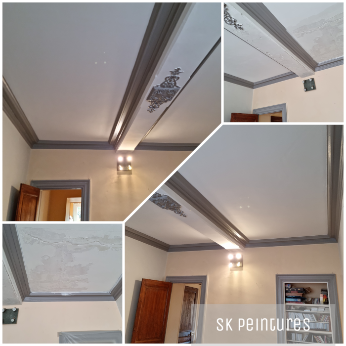 SK Peintures